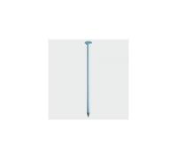 TIMco GRW100T Round Wire Nails Galvanised 100 x 4.50mm 2.50 KG