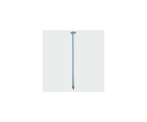 TIMco GRW100T Round Wire Nails Galvanised 100 x 4.50mm 2.50 KG