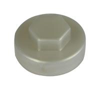 TIMco Hex Cover Cap - Metallic Silve 19mm Bag 1000