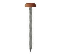 TIMCO Polymer Headed Nails A4 Stainless Steel Clay Brown - PN50CB - P- you get 3