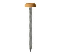TIMCO Polymer Headed Nails A4 Stainless Steel Oak - PN50O - Pack of 1- you get 3