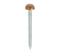 Timco - Polymer Headed Pins - A4 Stainless Steel - Clay Brown (Size 30mm - 250 Pieces)