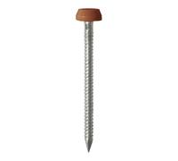 TIMCO Polymer Headed Pins A4 Stainless Steel Clay Brown - PP40CB - Pa- you get 3