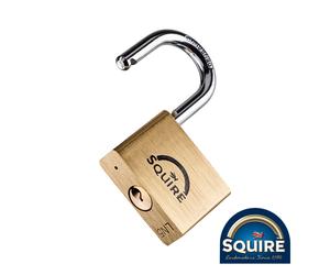 Timco Premium Brass Lion Padlock Squire Double Lock Steel Shackle 30-60mm