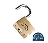 Timco Squire - Premium Brass Lion Padlock - Stainless Steel Shackle - LN4S in Gold Timco Gold