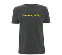 Time 4 Tee Indie Music Song Lyrics Lyric T Shirt Surprised by The Joy Natural Rebel Gig Music Manchester Scene Singer Quote Joyful Joyous Happy (Large, Grey)