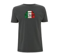 Time 4 Tee Lancia Fulvia Inspired T Shirt Italy Flag Rally Vintage Car Italian Sports Car Classic Car Show 1970s Memorabilia collectable Gift (X Large, Grey)