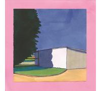 Time Again by Dumb Things (Record, 2019)