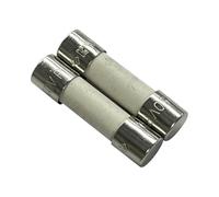 time delay Fuse， 2 Pieces Ceramic Delay Slow Fuse 5x20mm 3.15A 250V