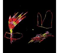 Time Flies When You Are Having Fun [VINYL]