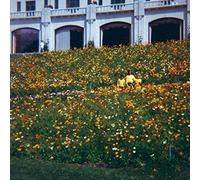 Time Hasn't Changed You [VINYL]