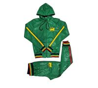 Time Is Money Men's Designer Rasta Lion Athletic Poly Slim Fit Tracksuit, Hooded Zip-Up Jacket and Pants Set, Black, Red, Green (UK, Alpha, L, Regular, Regular, Green)