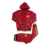 Time Is Money Men's Designer Rasta Lion Athletic Poly Slim Fit Tracksuit, Hooded Zip-Up Jacket and Pants Set, Black, Red, Green (UK, Alpha, S, Regular, Regular, Red)