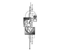 Time Is Money Waterproof Herbal Temporary Tattoos For Back And Arms. Long-lasting 2-w ake Tattoos