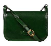 Time Resistance Leather Crossbody Bag - Messenger Bag with Magnetic Closure - Leather Handbag Purse for Women (Green)