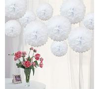 Time to Sparkle 10 Pack Mixed Tissue Paper Pompoms Pom Poms Flower Wedding Party Decoration (White, 10pcs Extra Large(10"+12"+15"))