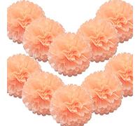 Time to Sparkle 10 Pack Tissue Paper Pompoms Pom Poms Flower Handmade Wedding Party Decorations Balls | Light Peach, 12"(30cm) |