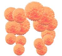 Time to Sparkle 15pcs Mixed Tissue Paper Pom Poms Decorations, Handmade Hanging Flower Paper Pompoms Balls for Wedding Birthday Party, Baby Shower