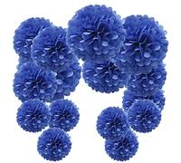 Time to Sparkle 15pcs Mixed Tissue Paper Pom Poms Decorations, Handmade Hanging Flower Paper Pompoms Balls for Wedding Birthday Party, Baby Shower