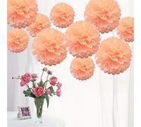 Time to Sparkle 15pcs Mixed Tissue Paper Pom Poms Decorations, Handmade Hanging Flower Paper Pompoms Balls for Wedding Birthday Party, Baby Shower