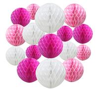 Time to Sparkle 16 Pack Mixed Honeycomb Balls Table Centrepiece Garland Tissue Paper Wedding Party Decoration Pink