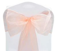 Time to Sparkle Pack of 10 Organza Sashes 22x280cm Wider Sash Fuller Bows Chair Cover Bows Sash for Wedding Party Birthday Decoration - Peach Schnapps