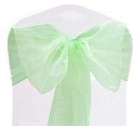 Time to Sparkle Pack of 60 Organza Sashes 22x280cm (Spearmint) | Wider Sash Fuller Bows Chair Cover Bows Sash for Wedding Party Birthday Decoration