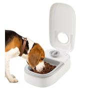 Timed Dog Food - Automatic Feeding Service, Portion Control Tray, Pet Feeding Unit with Timer Mechanism | Practical Solution for the