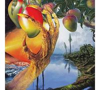 Timelash - A Morphology Of Wonders [VINYL]