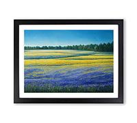 Timeless Bluebell Field Framed Wall Art Print A2 Black