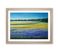 Timeless Bluebell Field Framed Wall Art Print A2 Oak