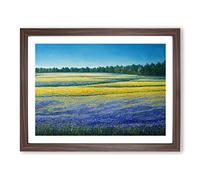 Timeless Bluebell Field Framed Wall Art Print A2 Walnut