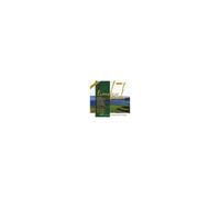 TIMELESS IRISH CLASSICS - VARIOUS - CD2B