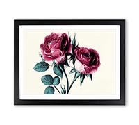 Timeless Rose Flowers Framed Wall Art Print A2 Black