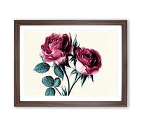 Timeless Rose Flowers H1022 Framed Print for Living Room Bedroom Home Office Décor, Wall Art Picture Ready to Hang, Walnut A2 Frame (64 x 46 cm)
