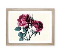 Timeless Rose Flowers H1022 Framed Print for Living Room Bedroom Home Office Décor, Wall Art Picture Ready to Hang, Oak A2 Frame (64 x 46 cm)