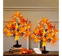 [Timer & USB/Battery Operated] CKE 24" Artificial Fall Lighted Maple Tree, 24 LED Thanksgiving Decorations Table Light Artificial Tree for Autumn Harvest Home Decor Wedding Party Gifts Indoor Outdoor