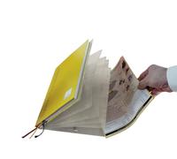 TimeTEX - Expanding Folder for School Planner A4-Plus | A4 Expanding Folder for Storing & Organising Documents for School Planner | Transparent