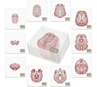Timethink (Set of 10) 4'' 3D Brain Specimen Coasters, Funny Anatomic Brain Slices Square Acrylic Glass Drink Coasters Set for Neuroscience Medical Student Scientists Human Anatomy Gift Brain Decor