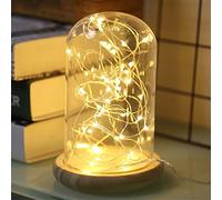 Timewanderer String Starry Fairy Light AA Battery Operated Decorative 5m/16.4Ft 50 Led Bright Micro Ultra Thin LED Lights on Silver Wire for Christmas DIY Decoration (Warm White)