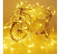 Timewanderer Warm White Led String Fairy Light AA Battery Operated Bright LED Festive Lights Decorative Lights Clear Wire for Christmas DIY Decoration (3m 30 LEDs)