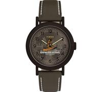 Timex Unisex Harry Potter x Weekender Sorting Hat 37mm Watch - Green Two- Piece Quick Release Green Dial Bronze-Tone Case