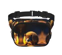 Timid Hedgehog Square Double-Layer Waist Bag for Outdoor Activities Such as Sports, Travel, Hiking, Cycling