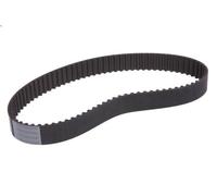 Timing bel CONTITECH CT1095 for AUDI Q7 (4LB) 4.2 2007-2009