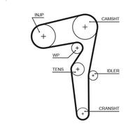 Timing bel GATES 5715XS for FIAT DOBLO Bus (263_) 1.6 2010-2023