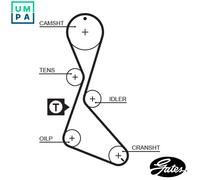 GATES 1130RM Timing Belt