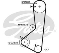 GATES 1256RM Timing Belt