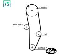 GATES 5010 Timing Belt
