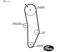GATES 5010 Timing Belt