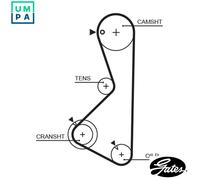 GATES 5075XS Timing Belt
